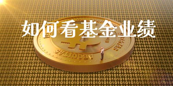 如何看基金业绩_https://m.ycdhulan.com_证券新闻_第1张