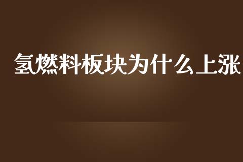 氢燃料板块为什么上涨_https://m.ycdhulan.com_财经要闻_第1张