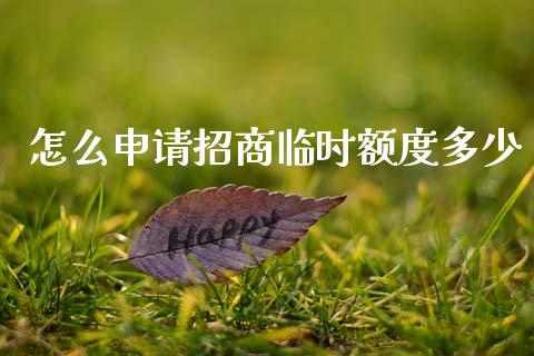 怎么申请招商临时额度多少_https://m.ycdhulan.com_财经要闻_第1张
