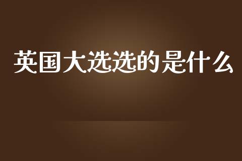 英国大选选的是什么_https://m.ycdhulan.com_理财产品_第1张