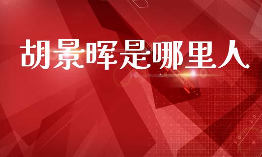 胡景晖是哪里人_https://m.ycdhulan.com_国际金融_第1张