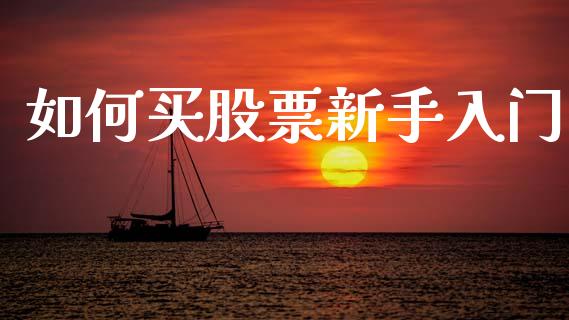 如何买股票新手入门_https://m.ycdhulan.com_理财产品_第1张