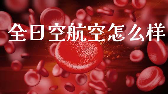 全日空航空怎么样_https://m.ycdhulan.com_财经要闻_第1张