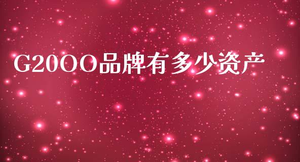 G20OO品牌有多少资产_https://m.ycdhulan.com_财经要闻_第1张