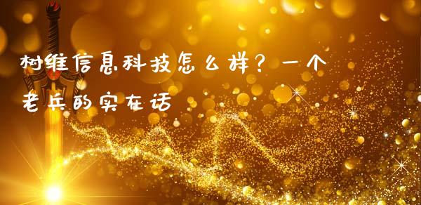 树维信息科技怎么样？一个老兵的实在话_https://m.ycdhulan.com_期货交易_第1张