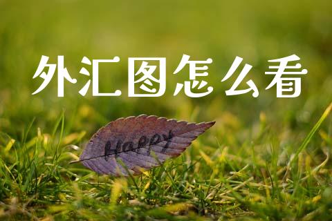 外汇图怎么看_https://m.ycdhulan.com_股市在线_第1张