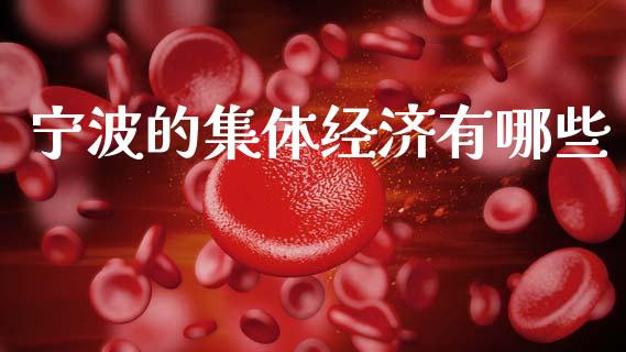 宁波的集体经济有哪些_https://m.ycdhulan.com_股市在线_第1张