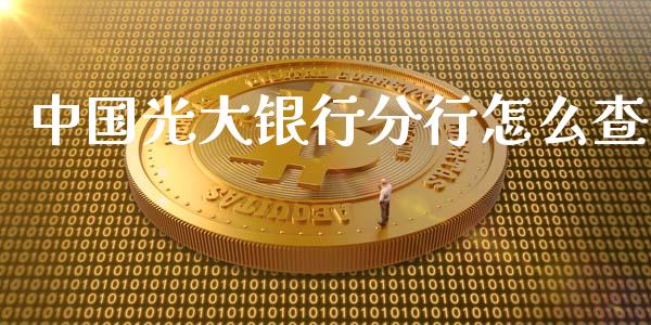 中国光大银行分行怎么查_https://m.ycdhulan.com_财经要闻_第1张