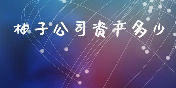 柚子公司资产多少_https://m.ycdhulan.com_财经要闻_第1张
