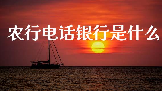 农行电话银行是什么_https://m.ycdhulan.com_理财产品_第1张