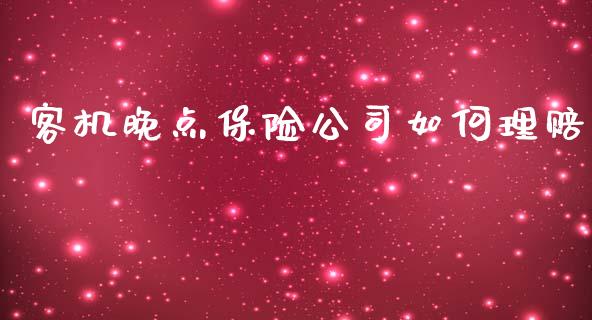 客机晚点保险公司如何理赔_https://m.ycdhulan.com_理财产品_第1张
