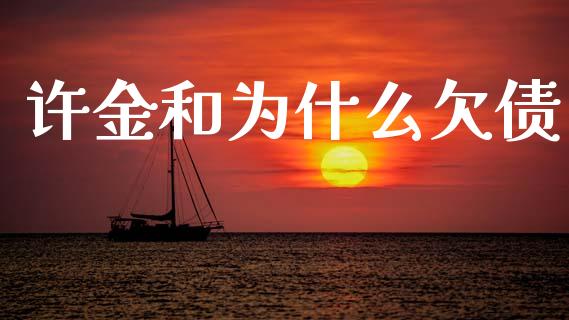 许金和为什么欠债_https://m.ycdhulan.com_国际金融_第1张