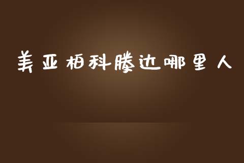 美亚柏科滕达哪里人_https://m.ycdhulan.com_财经要闻_第1张
