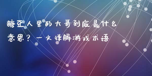 糖豆人里的大哥到底是什么意思？一文详解游戏术语_https://m.ycdhulan.com_国际金融_第1张