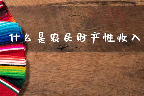 什么是农民财产性收入_https://m.ycdhulan.com_国际金融_第1张