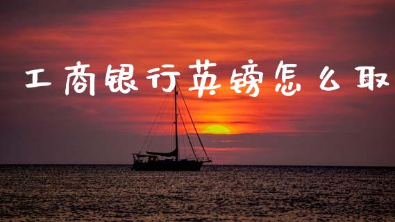 工商银行英镑怎么取_https://m.ycdhulan.com_期货交易_第1张