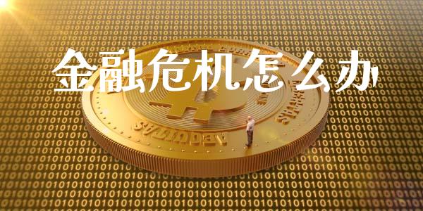 金融危机怎么办_https://m.ycdhulan.com_股市在线_第1张