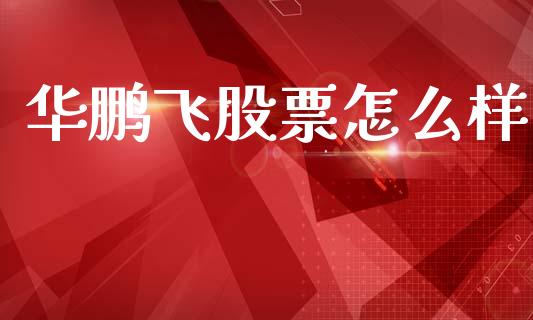 华鹏飞股票怎么样_https://m.ycdhulan.com_理财产品_第1张