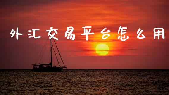 外汇交易平台怎么用_https://m.ycdhulan.com_期货交易_第1张