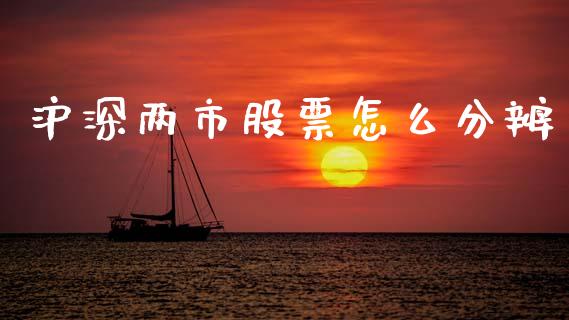 沪深两市股票怎么分辨_https://m.ycdhulan.com_财经要闻_第1张
