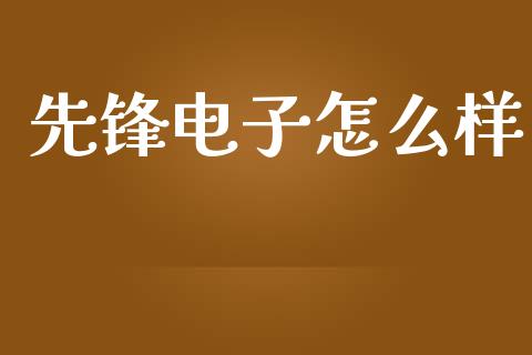 先锋电子怎么样_https://m.ycdhulan.com_期货交易_第1张