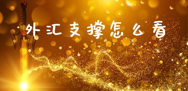 外汇支撑怎么看_https://m.ycdhulan.com_期货交易_第1张