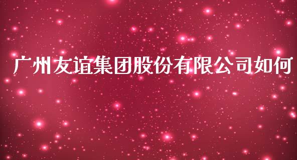 广州友谊集团股份有限公司如何_https://m.ycdhulan.com_理财产品_第1张