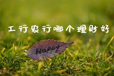 工行农行哪个理财好_https://m.ycdhulan.com_股市在线_第1张