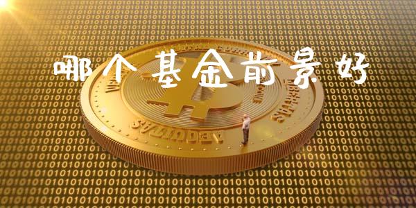 哪个基金前景好_https://m.ycdhulan.com_证券新闻_第1张