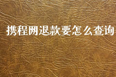 携程网退款要怎么查询_https://m.ycdhulan.com_财经要闻_第1张