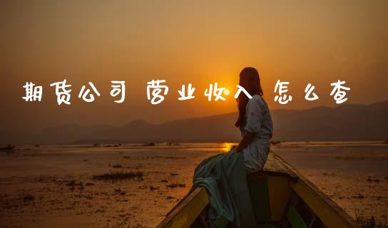 期货公司 营业收入 怎么查_https://m.ycdhulan.com_国际金融_第1张