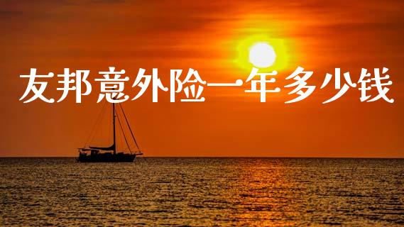 友邦意外险一年多少钱_https://m.ycdhulan.com_国际金融_第1张