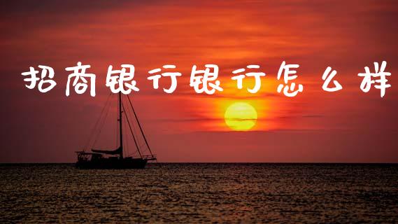 招商银行银行怎么样_https://m.ycdhulan.com_国际金融_第1张