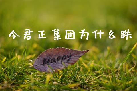 今君正集团为什么跌_https://m.ycdhulan.com_股市在线_第1张