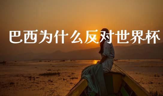 巴西为什么反对世界杯_https://m.ycdhulan.com_财经要闻_第1张