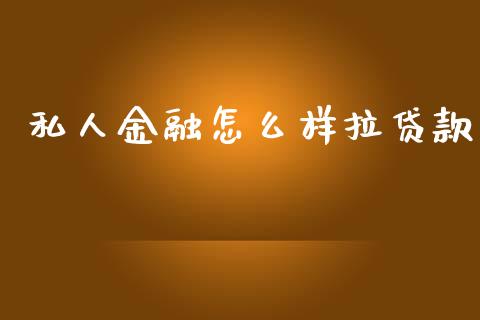 私人金融怎么样拉贷款_https://m.ycdhulan.com_国际金融_第1张