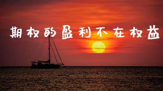 期权的盈利不在权益_https://m.ycdhulan.com_国际金融_第1张
