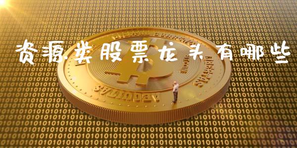 资源类股票龙头有哪些_https://m.ycdhulan.com_股市在线_第1张