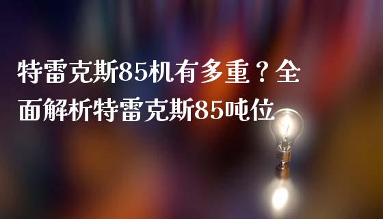 特雷克斯85机有多重？全面解析特雷克斯85吨位_https://m.ycdhulan.com_期货交易_第1张