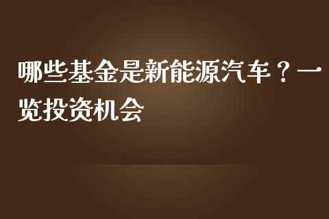 哪些基金是新能源汽车？一览投资机会_https://m.ycdhulan.com_期货交易_第1张