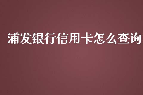 浦发银行信用卡怎么查询_https://m.ycdhulan.com_国际金融_第1张