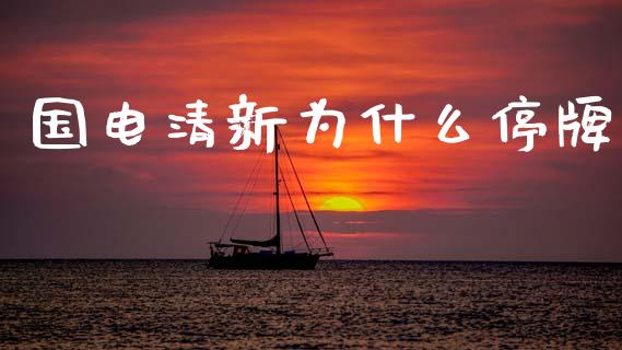 国电清新为什么停牌_https://m.ycdhulan.com_股市在线_第1张