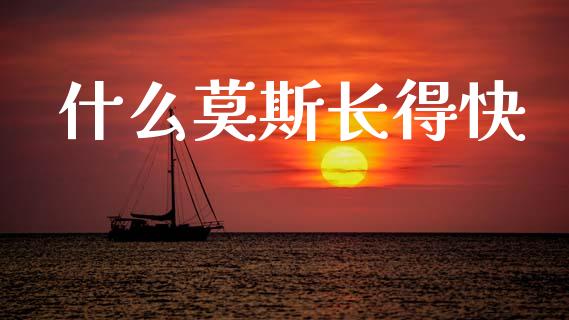 什么莫斯长得快_https://m.ycdhulan.com_财经要闻_第1张