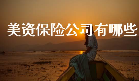 美资保险公司有哪些_https://m.ycdhulan.com_股市在线_第1张