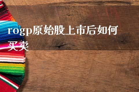 rogp原始股上市后如何买卖_https://m.ycdhulan.com_证券新闻_第1张