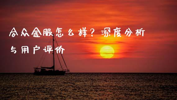 合众金服怎么样？深度分析与用户评价_https://m.ycdhulan.com_国际金融_第1张