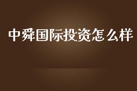 中舜国际投资怎么样_https://m.ycdhulan.com_股市在线_第1张