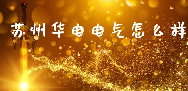 苏州华电电气怎么样_https://m.ycdhulan.com_国际金融_第1张