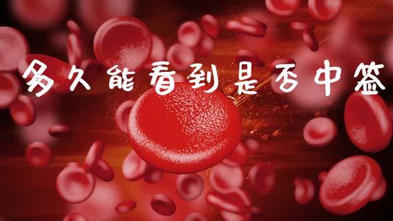多久能看到是否中签_https://m.ycdhulan.com_财经要闻_第1张