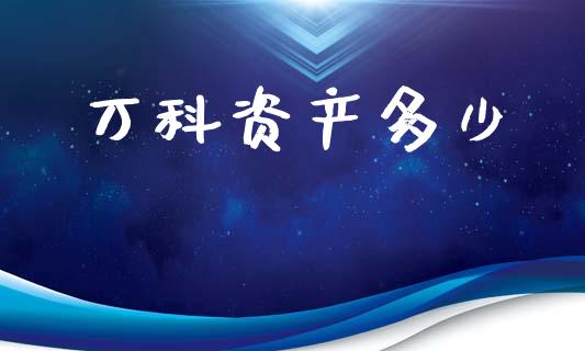 万科资产多少_https://m.ycdhulan.com_期货交易_第1张